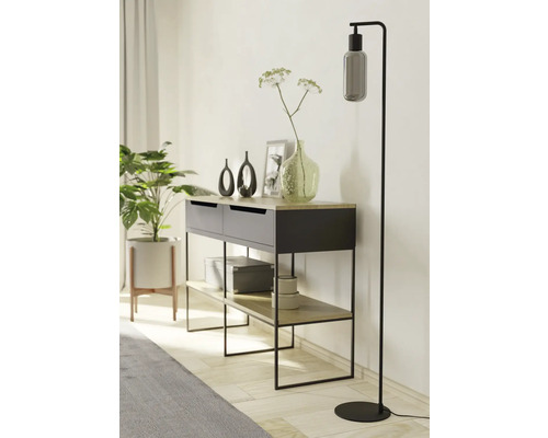 Decoratieve woonomgeving met commode, staande lamp en kamerplant