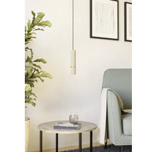 Woonkamer met hanglamp, plant, tafel en fauteuil.