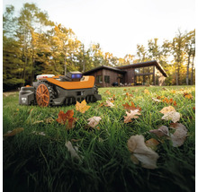 Robotmaaier op een gazon met bladeren voor een woonhuis.