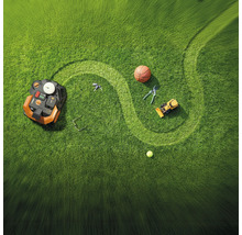 Grasveld met robotmaaier, basketbal, snoeischaar, speelgoedgraafmachine, tennisbal, sleutels en bril