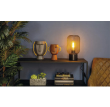 Decoratieve scène met tafellamp, vazen in hoofdontwerp en plant op een plank.