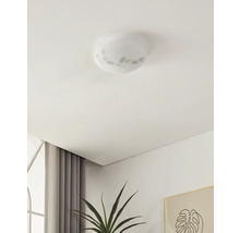 Plafondlamp met bladmotief in interieur