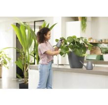 Vrouw besproeit kamerplant met spuitfles in lichte keuken.