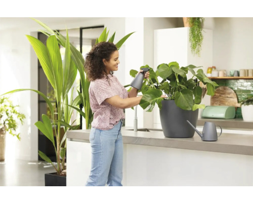 Vrouw besproeit kamerplant met spuitfles in lichte keuken.