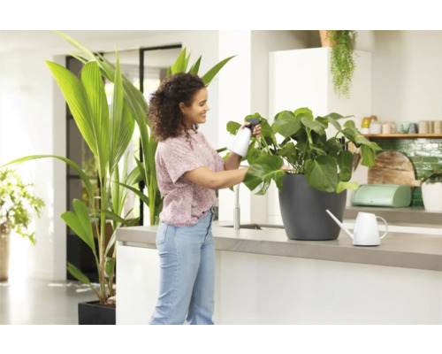 Vrouw besproeit kamerplant met spuitfles in lichte keuken