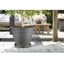 Grijze bloempot met plant buiten