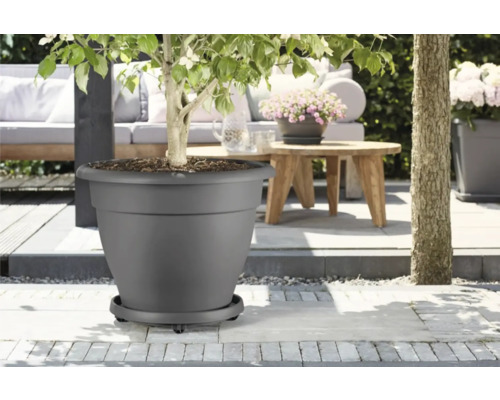 Grijze bloempot met plant buiten