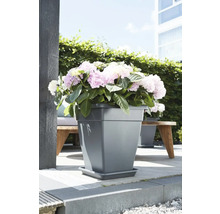 Vierkante plantenbak met hortensia's op een terras