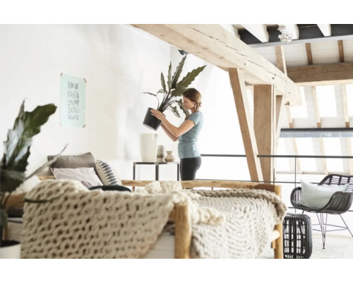 ELHO Insert Brussels diamond High 27cm zwart Licht, open appartement met houten balkenplafond en een vrouw die een kamerplant in een sierpot verpot.