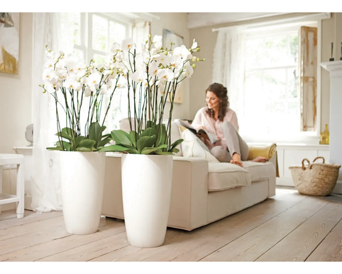 Woonkamer met orchideeën in hoge plantenbakken en een vrouw op een bank