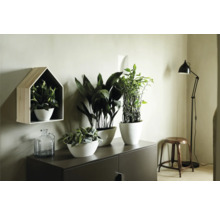 Woonkamer met dressoir, planten in potten, wandplank in huisvorm en staande lamp