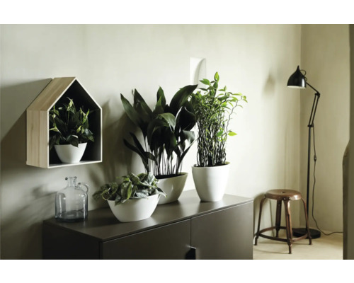 Woonkamer met dressoir, planten in potten, wandplank in huisvorm en staande lamp