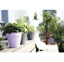 Bloemen in plantenbakken op een terras