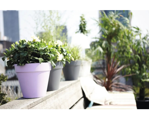 Bloemen in plantenbakken op een terras