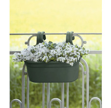 Balkonbak met witbloeiende planten hangt aan een balkonreling.