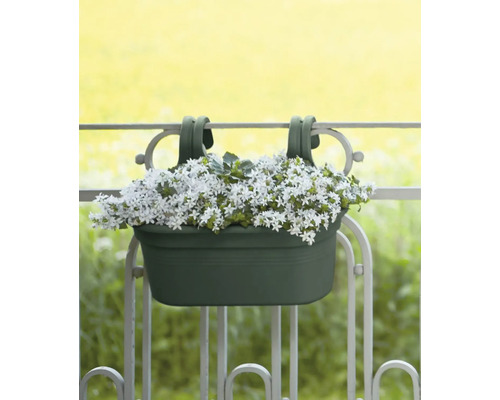 Balkonbak met witbloeiende planten hangt aan een balkonreling.