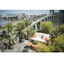 Terras met tuinmeubelen, planten en uitzicht op een brug en de stad