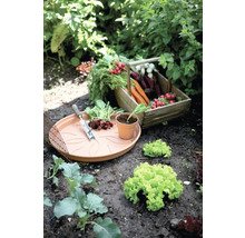 Moestuin met geoogste groenten in een houten mand, plantenschaal en tuingereedschap