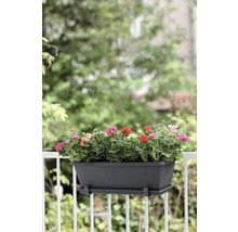 Balkonbak met geraniums aan balkonreling