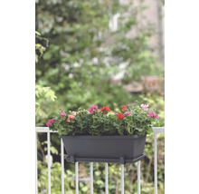 Bloembak met kleurrijke geraniums op een balkonreling