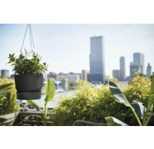 Hangpot met wit bloeiende planten op een terras
