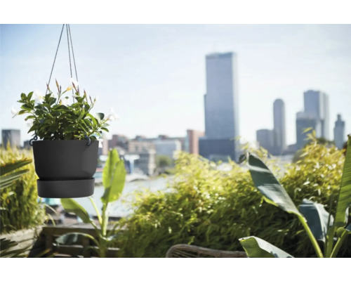 Hangpot met wit bloeiende planten op een terras
