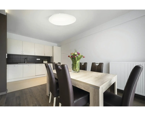 Eetkamer met eettafel, stoelen en plafondlamp in modern design