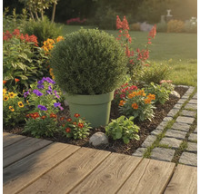 Tuinlandschap met potplant en kleurrijke bloemen
