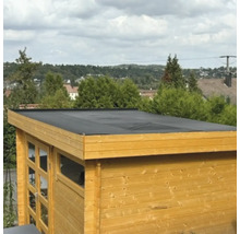 Houten tuinhuis met plat dak