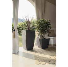 Twee grijze plantenbakken met planten op een vloerkleed onder een baldakijn.