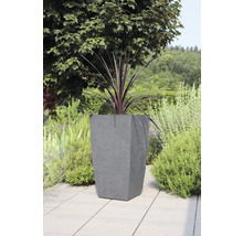 Betonnen plantenbak met plant in de tuin