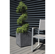 Decoratieve plant in een pot naast een stoel buitenshuis.