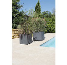 Twee grijze plantenbakken met beplanting naast een zwembad