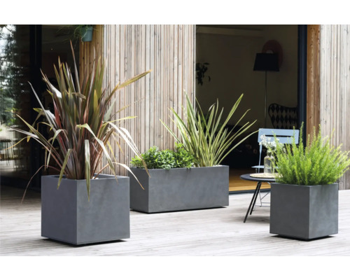 Drie grijze betonnen plantenbakken op een terras met verschillende planten