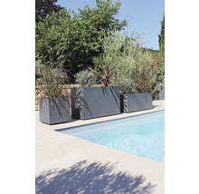 Drie grijze plantenbakken van verschillende grootte staan aan de rand van het zwembad en zijn beplant met planten.