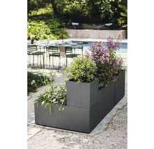 Plantenbak met diverse planten buitenshuis.