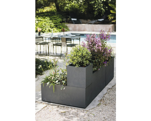 Plantenbak met diverse planten buitenshuis.