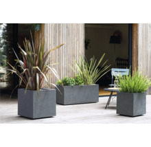 Drie grijze betonnen plantenbakken op een terras met verschillende planten