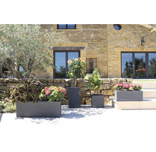 Diverse plantenbakken met planten voor een gebouw