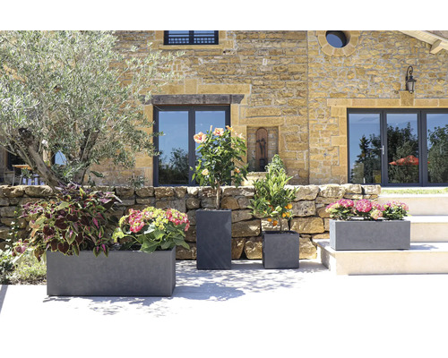 Diverse plantenbakken met planten voor een gebouw