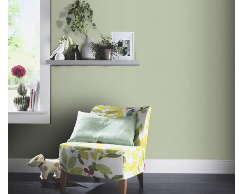 Woonkamer met fauteuils, planken en decoraties