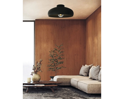 Woonkamer met plafondlamp, bank en houten wand