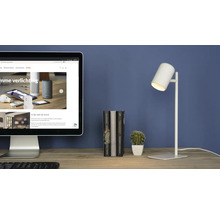 Tafereel met computerscherm, boeken, cactus en bureaulamp