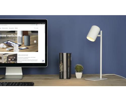 Tafereel met computerscherm, boeken, cactus en bureaulamp