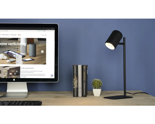 Bureau met computer, boeken, cactus en een zwarte lamp