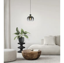 Hanglamp boven woonruimte met bank, tafel en plant
