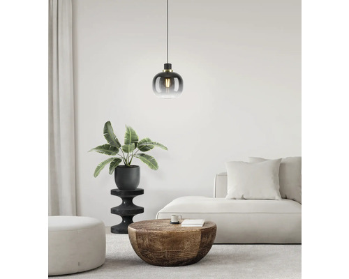 Hanglamp boven woonruimte met bank, tafel en plant