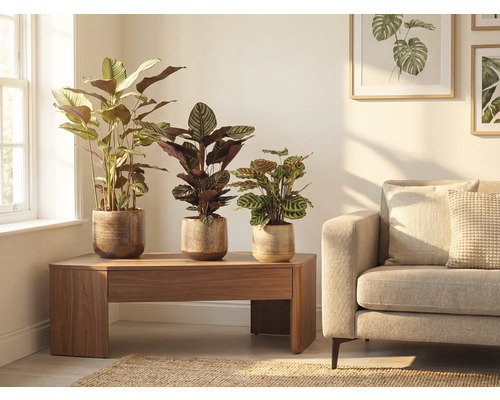 Woonkamer scène met drie kamerplanten in potten op een houten tafel naast een bank.