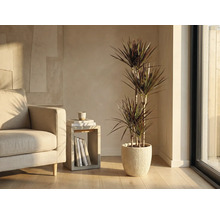 Woonkamer met drakenbloedboom in geribbelde sierpot naast fauteuil en bijzettafel