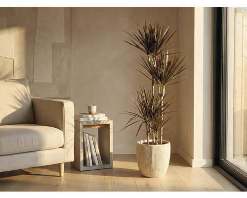 Woonkamer met drakenbloedboom in geribbelde sierpot naast fauteuil en bijzettafel